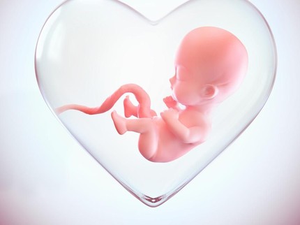 Sejak di Kandungan Bayi Sudah Bisa Mencium Aroma Lho