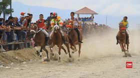 VIDEO: Pacu Kuda Gayo, Budaya Tandai Akhir Masa Panen