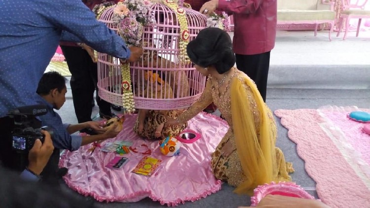 Proses tedak siten cucu pertama Bupati Ponorogo Ipong Muchlissoni
