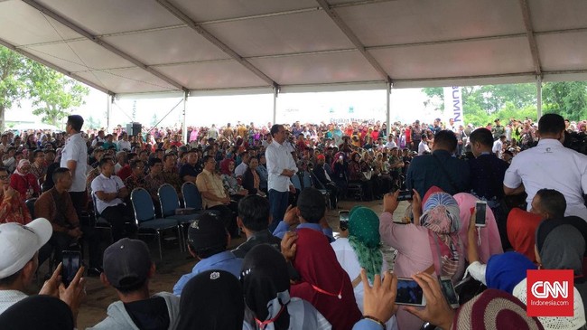 Bukan tanpa alasan Yohana ingin bertemu Jokowi secara langsung. Ia ingin mengadu karena belum merasakan program bantuan sosial yang dicanangkan Jokowi.