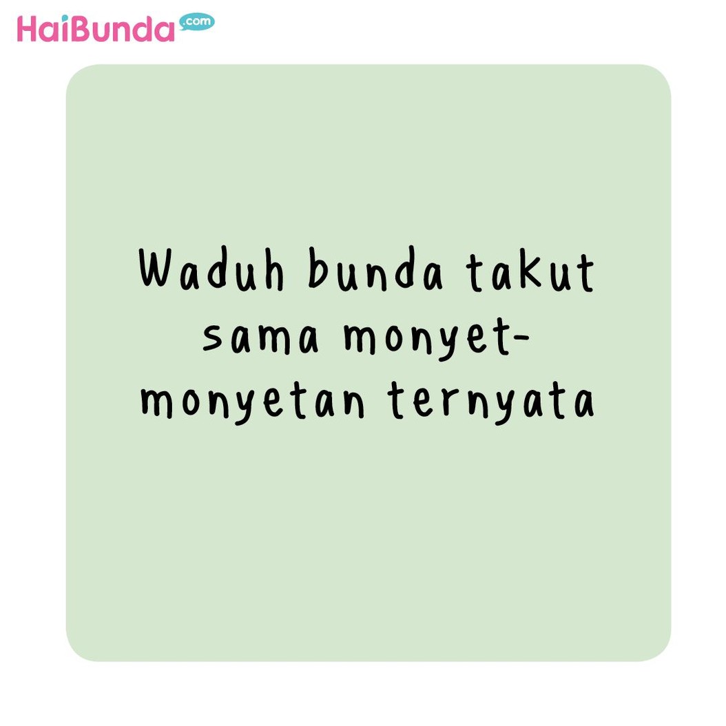 Ada cerita lucu apa sih, Bun saat berkunjung ke kebun binatang? Ada yang takut ketemu gajah, singa, harimau atau justru monyet nggak ni?