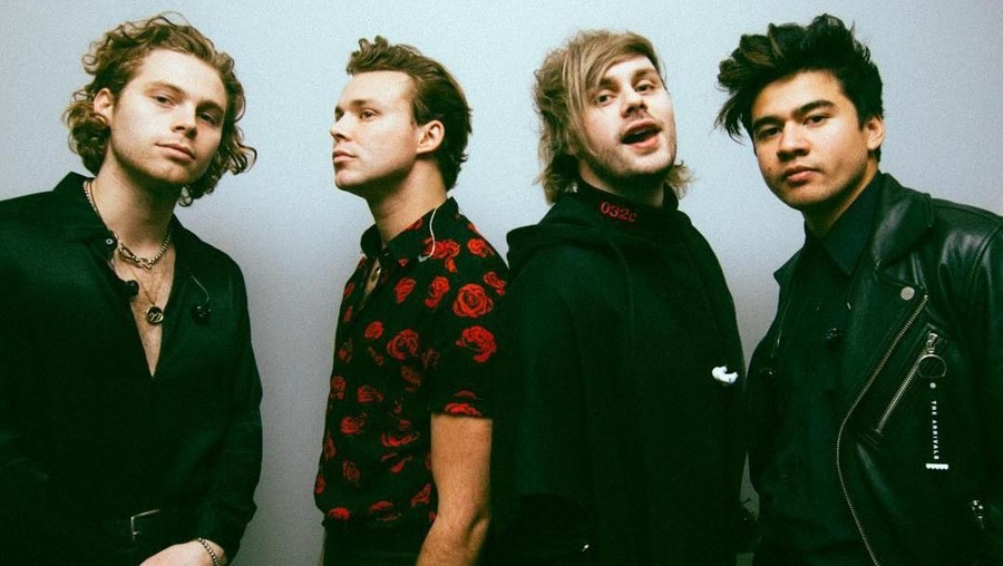 Lirik lagu Wildflower milik band 5 Seconds of Summer.