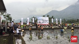 TKN Akui Gelontorkan Rp2 Miliar untuk Jokowi Borong Sabun