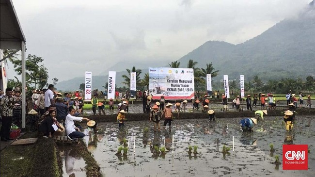 Yohana, petani asal Desa Cisaat Kecamatan Leuwigoong, Garut, Jawa Barat, harus gigit jari karena tak bisa bertemu langsung dengan Presiden Joko Widodo (Jokowi) pada Sabtu (19/1) pagi akhir pekan lalu.