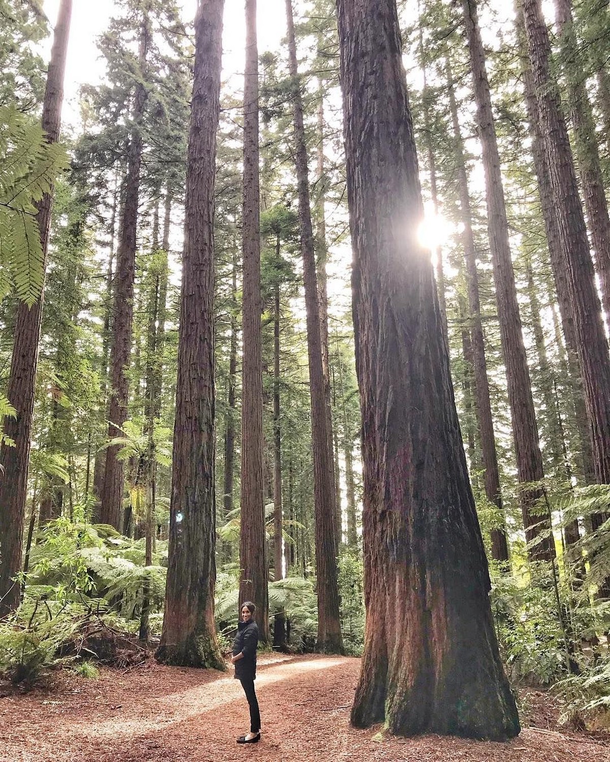 Meghan Markle tengah mengandung anak pertamanya dengan Pangeran Harry&period; Akan melahirkan pada April mendatang&comma; intip delapan potret Meghan dengan perut buncit&period;