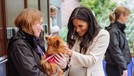 8 Potret Cantik Meghan Markle dengan Perut Buncit Meghan Markle tengah mengandung anak pertamanya dengan Pangeran Harry. Akan melahirkan pada April mendatang, intip delapan potret Meghan dengan perut buncit.