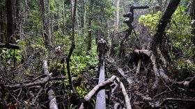 FOTO: Menjaga Marwah Hutan Aceh