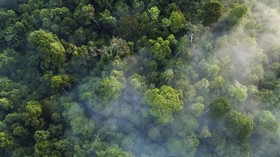 Wali Nanggroe Catat Deforestasi Hutan Aceh 10 Ribu Hektare per Tahun