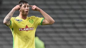Anjing Emiliano Sala Setia Menunggu di Depan Pintu Rumah