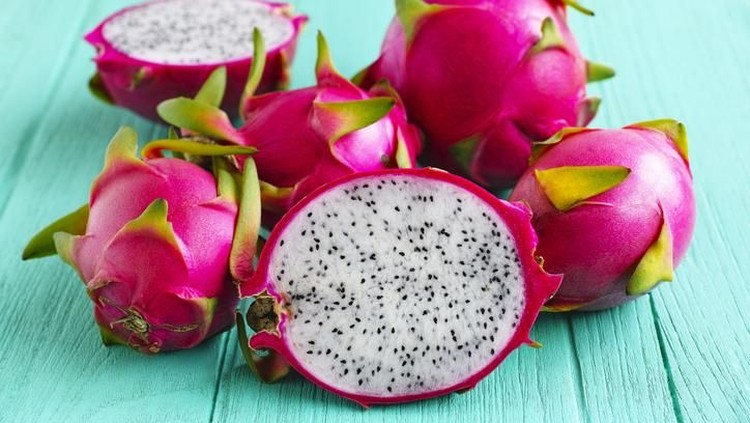 buah naga