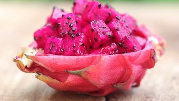 MENANAM BUAH NAGA DALAM POT DAN DI LUAR RUANGAN