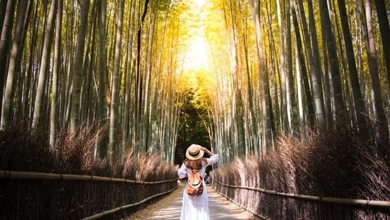 Pasalnya, Jepang memiliki potensi pariwisata yang selalu memberikan pengalaman terbaik bagi pelancong.