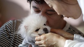 FOTO: Saat Warga Korea Lebih Pilih Anjing daripada Punya Anak