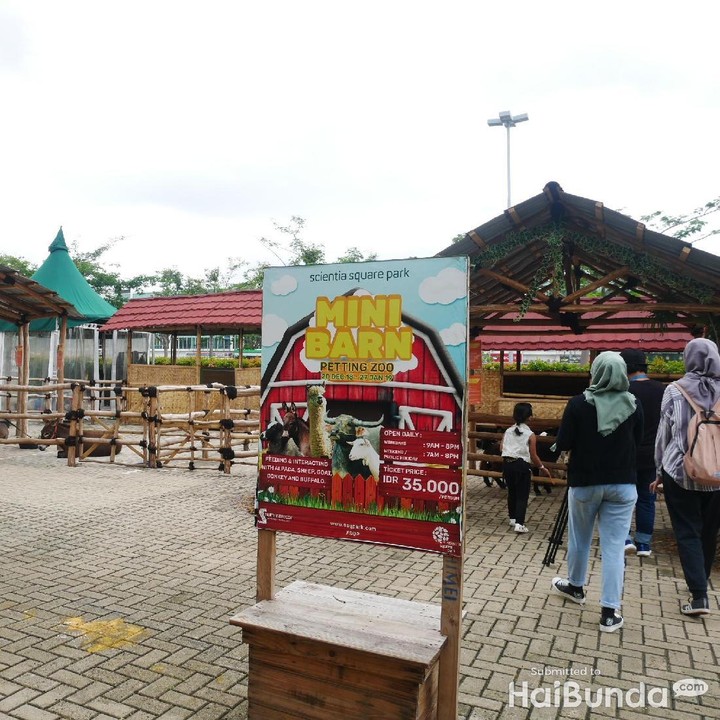 <p>Dari Januari hingga Maret 2019, ada event yang namanya Mini Barn, Bun. Di sini, anak-anak bisa belajar tentang hewan salah satunya Alpaca dari Amerika.</p>