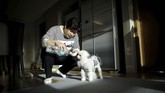 FOTO: Saat Warga Korea Lebih Pilih Anjing daripada Punya Anak Pasangan suami-istri di Korea Selatan ternyata lebih memilih untuk punya anjing peliharaan dibanding dengan punya anak.