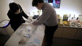 FOTO: Saat Warga Korea Lebih Pilih Anjing daripada Punya Anak Pasangan suami-istri di Korea Selatan ternyata lebih memilih untuk punya anjing peliharaan dibanding dengan punya anak.