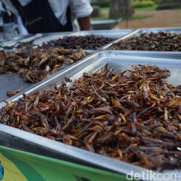 Baru Disetujui, Ini Jenis Serangga yang Bisa Dimakan di Singapura