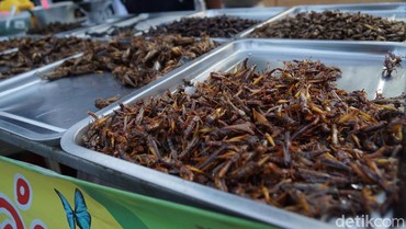 Baru Disetujui, Ini Jenis Serangga yang Bisa Dimakan di Singapura