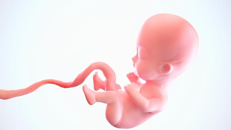 Walau masih di kandungan, bayi sudah bisa menunjukkan ekspresinya lho, termasuk tersenyum.