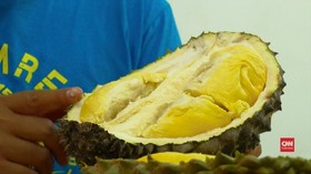 VIDEO: Cara Jitu Memilih Durian Bermutu