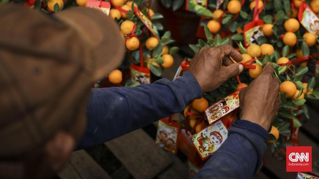 BPS mencatat kenaikan konsumsi buah-buahan impor, seperti apel dan jeruk dari China. Angkanya mencapai US$134,42 juta.