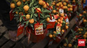 Cap Go Meh dan Ritual Lempar Jeruk untuk Dapat Jodoh