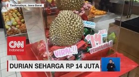 Ada Yang Mau Beli? Durian Ini Seharga Rp.14 Juta!
