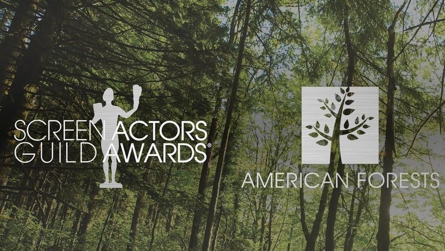 SAG Awards SAG Awards