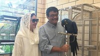 <p>Melihat koleksi burung juga bisa jadi waktu berkualitas untuk pasangan yang sudah punya tiga anak ini. (Foto: Instagram/ @happydjarot)</p>