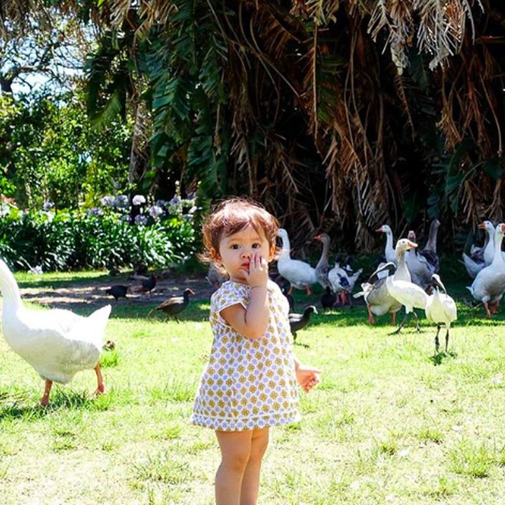 <p>Ya ampuuun gemes banget si Bri mainan sama angsa. Jadi pingin gendong kan? (Foto: Instagram: @septriasaacha)  </p>