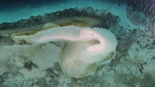 Flores Timur bukan cuma tradisi perayaan Semana Santa. Di sini juga ada pulau pasir yang indah sekaligus unik.