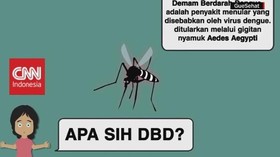 Tips Mencegah DBD yang Sedang Marak