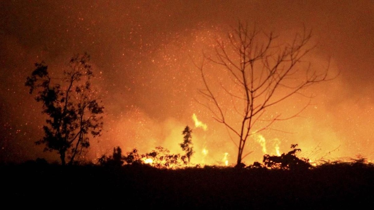 FOTO : Bara Api di Lahan Gambut Aceh Barat