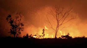Pemprov Sumsel Tetapkan Siaga Darurat Karhutla pada April