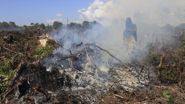 FOTO : Bara Api di Lahan Gambut Aceh Barat