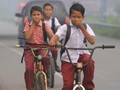 FOTO : Bara Api di Lahan Gambut Aceh Barat
