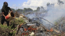 Hingga Juni 2019, Sumsel Hasilkan 244 Titik Api
