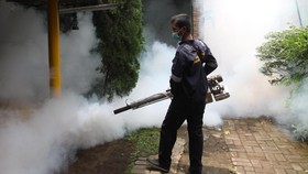 Kasus DBD di Jakarta Meningkat, Kalideres Tertinggi