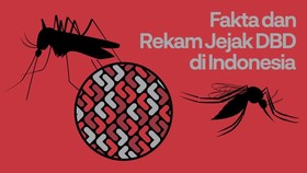 INFOGRAFIS: Rekam Jejak Demam Berdarah di Indonesia