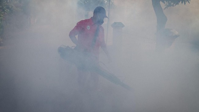 Kasus demam berdarah dengue (DBD) di Jatim melonjak menjadi 977 kasus  pada Januari, dengan 17 di antaranya meninggal.