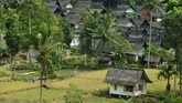FOTO: Lestari Tradisi di Kampung Adat Naga Kampung adat Naga terletak 30 km dari Kota Tasikmalaya. Desa ini dikenal masih memegang teguh tradisi, seperti panen padi yang dimulai dengan ritual ngukusan.