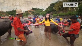 VIDEO: Mengagumi Budaya dan Kekayaan Alam Sumbawa