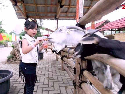 AnakPedia! Serunya Kenalkan Kegiatan Alam pada Anak Sejak Dini