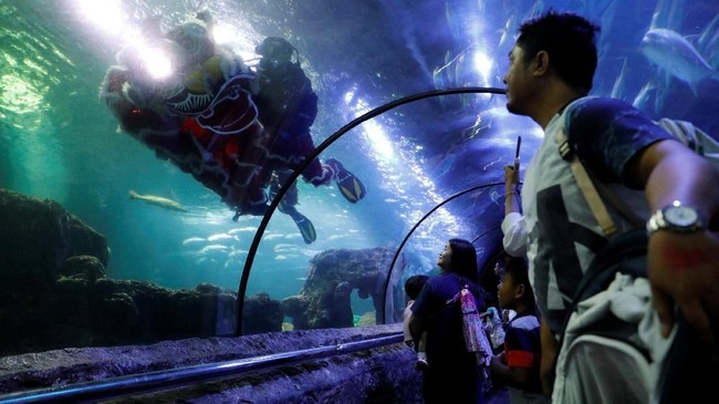 FOTO: Perayaan Tahun Babi Tanah dari Berbagai Negara