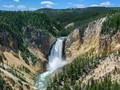 Turis Jatuh usai Nekat Kunjungi Yellowstone saat Pandemi