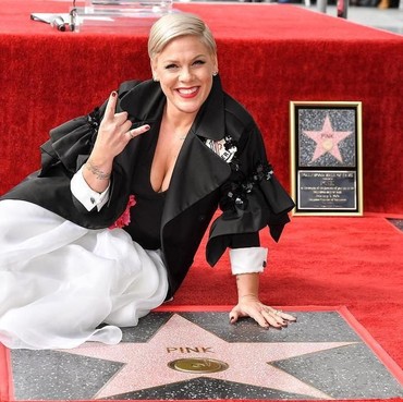 Raih Hollywood Walk of Fame, Berikut Prestasi dari Pink