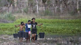 FOTO: Hasil Panen Bawang Petani di Pulau Sabu