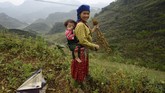 FOTO: Perjuangan Etnis Hmong Merebut Istana Warisan Sebuah istana di daerah Ha Giang, Vietnam adalah bukti sejarah dari etnis Hmong, yang kini menjadi minoritas di sana.