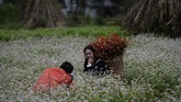 FOTO: Perjuangan Etnis Hmong Merebut Istana Warisan Sebuah istana di daerah Ha Giang, Vietnam adalah bukti sejarah dari etnis Hmong, yang kini menjadi minoritas di sana.