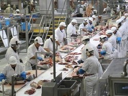 Ngeri... 1.553 Pekerja Pabrik Daging di Wilayah Ini Positif Corona